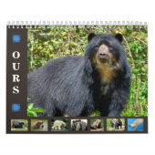 12 maanden kalender diverse beren (Hoes)