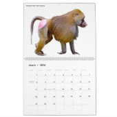 12 maanden kalender diverse geïsoleerde dieren (Mar 2026)