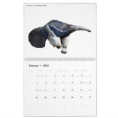 12 maanden kalender diverse geïsoleerde dieren (Feb 2026)