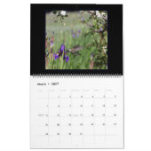 12 maanden kolibrieskalender. kalender (Mar 2027)