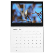 12 maanden kolibrieskalender. kalender (Jan 2027)