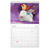 12 maanden konijnenkalender kalender (Jan 2027)