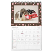 12 maanden konijnenkalender kalender (Feb 2027)