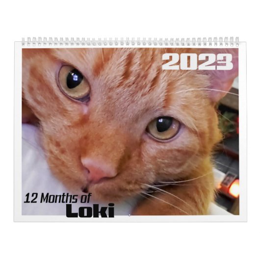12 maanden Loki a Oranje Tabby Cat Kalender (Hoes)