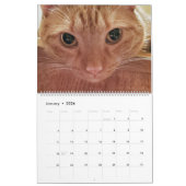 12 maanden Loki a Oranje Tabby Cat Kalender (Jan 2026)