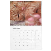 12 maanden Loki a Oranje Tabby Cat Kalender (Mar 2027)