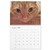12 maanden Loki a Oranje Tabby Cat Kalender (Jan 2027)