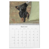 12 maanden met de tandhond kalender (Mar 2027)
