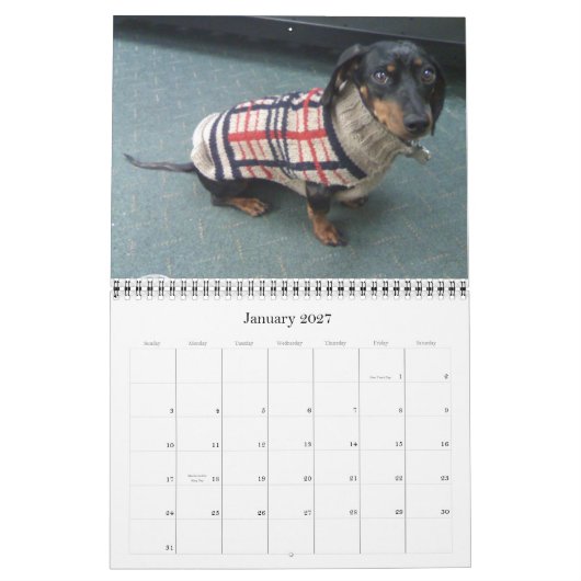 12 maanden met de tandhond kalender (Jan 2027)
