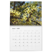 12 maanden met foto's van de seizoenen, 11e editie kalender (Mar 2027)