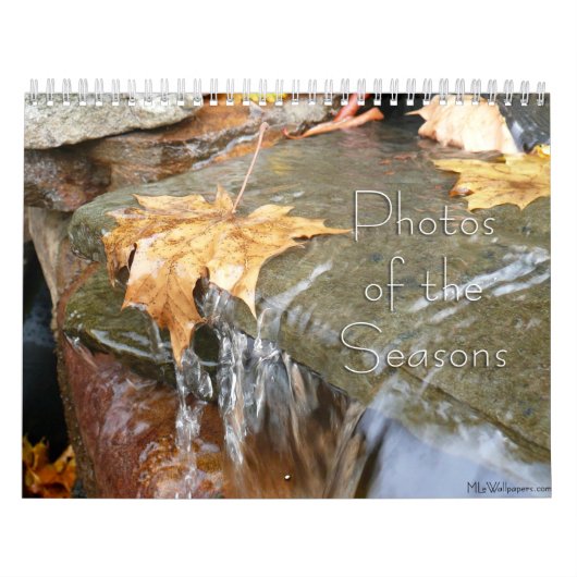 12 maanden met foto's van de seizoenen, 5e editie kalender (Hoes)