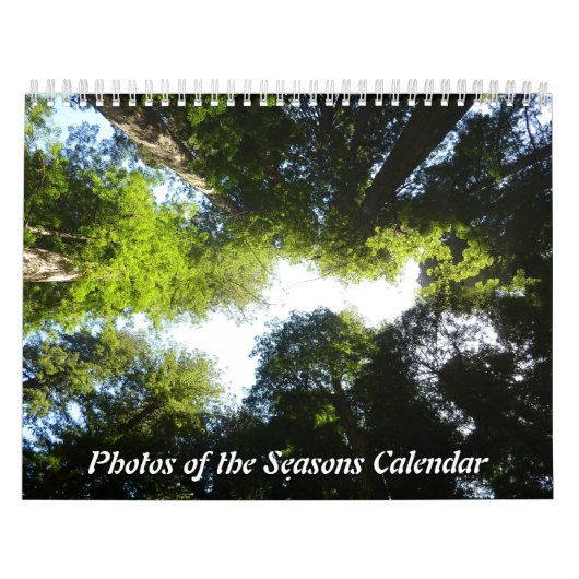 12 maanden met foto's van de seizoenen, 7e editie kalender (Hoes)
