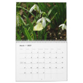 12 maanden met foto's van de seizoenen, 7e editie kalender (Mar 2027)