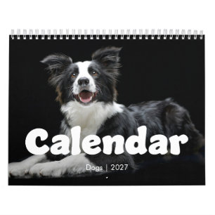12 Maanden Moderne Typografie Hondenkalender 2027 Kalender