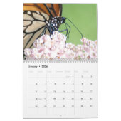 12 maanden Monarchs kalender (Jan 2026)
