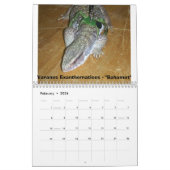 12 maanden monitoren kalender (Feb 2026)