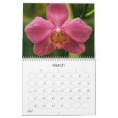12 maanden mooie orchideeën kalender (Mar 2027)