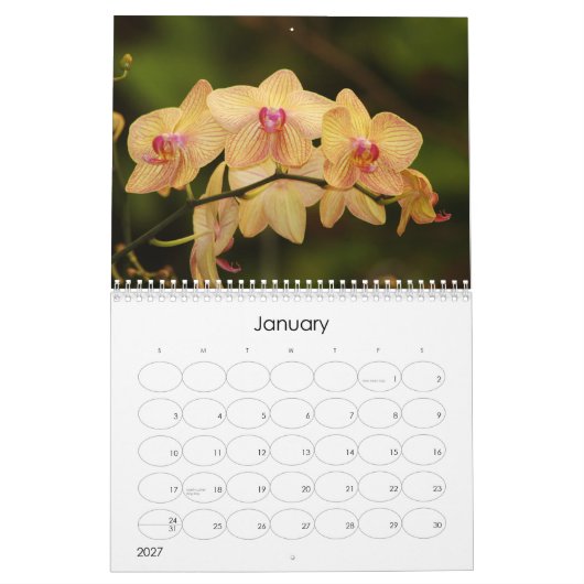 12 maanden mooie orchideeën kalender (Jan 2027)
