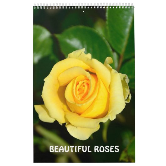 12 maanden mooie Rozen Kalender (Hoes)