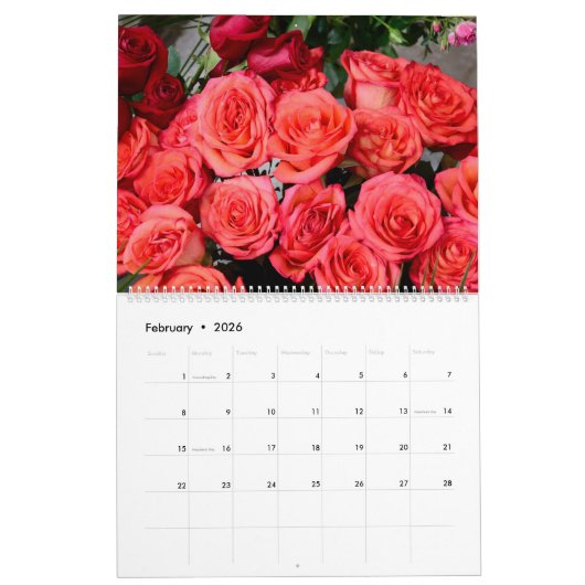 12 maanden mooie Rozen Kalender (Feb 2026)