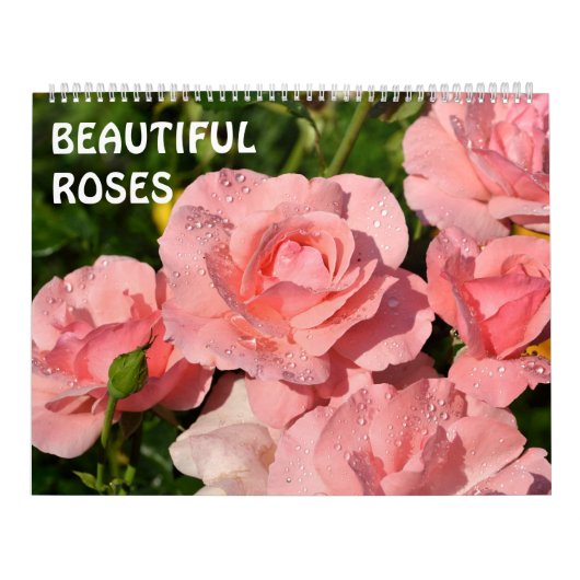 12 maanden mooie Rozen Kalender (Hoes)