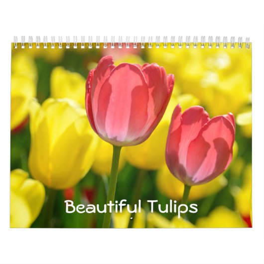 12 maanden mooie Tulpen (#2) Kalender (Hoes)