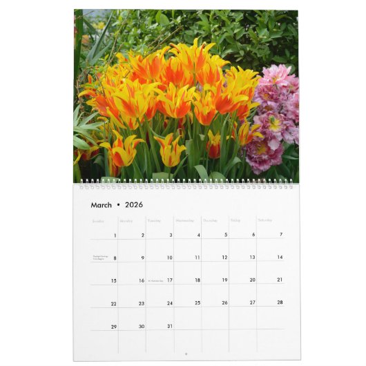 12 maanden mooie Tulpen Kalender (Mar 2026)