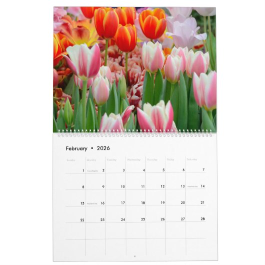 12 maanden mooie Tulpen Kalender (Feb 2026)