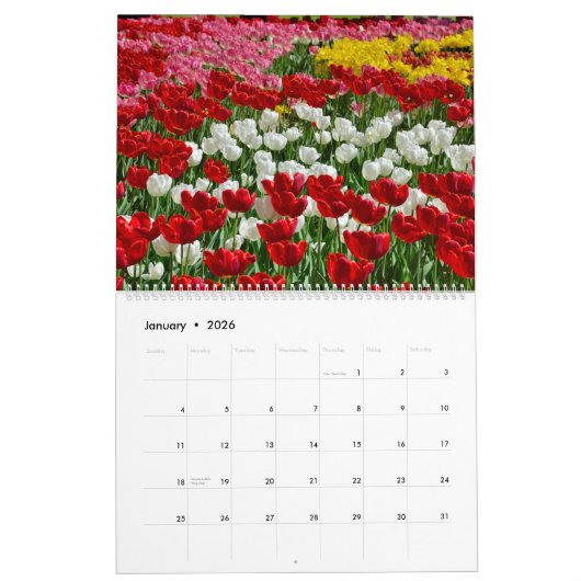 12 maanden mooie Tulpen Kalender (Jan 2026)