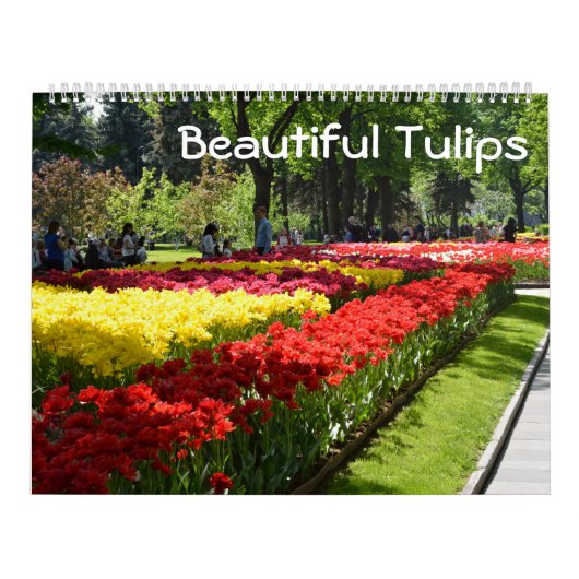 12 maanden mooie Tulpen Kalender (Hoes)