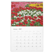 12 maanden mooie Tulpen Kalender (Jan 2027)