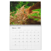 12 maanden Natuur Kalender (Feb 2027)