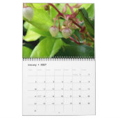 12 maanden Natuur Kalender (Jan 2027)