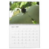 12 maanden Natuur Kalender (Mar 2027)