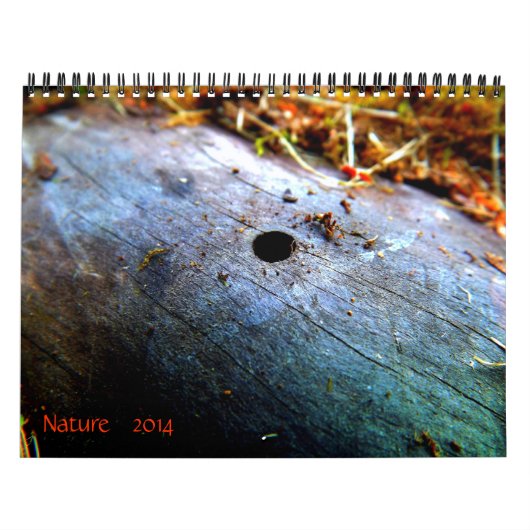 12 maanden Natuur Kalender (Hoes)