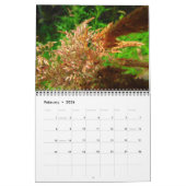 12 maanden Natuur Kalender (Feb 2026)