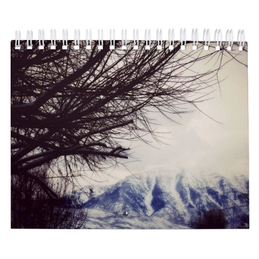 12 maanden Nieuw-Zeelandse kalender (Hoes)