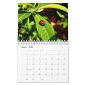 12 maanden Nieuw-Zeelandse kalender (Mar 2026)