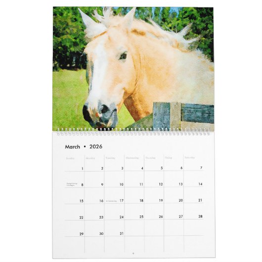 12 maanden Palomino Ponies Waterverf Gifts Kalender (Mar 2026)
