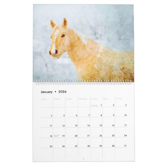 12 maanden Palomino Ponies Waterverf Gifts Kalender (Jan 2026)