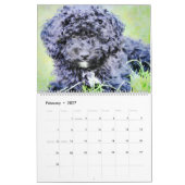 12 maanden Poodle Waterverf Honden Kalender (Feb 2027)
