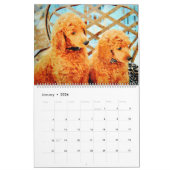 12 maanden Poodle Waterverf Honden Kalender (Jan 2026)