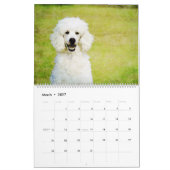 12 maanden Poodle Waterverf Honden Kalender (Mar 2027)