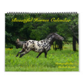 12 maanden prachtige agenda voor paarden, groot kalender (Hoes)