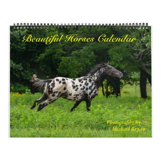 12 maanden prachtige agenda voor paarden, groot kalender (Hoes)