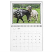 12 maanden prachtige agenda voor paarden, groot kalender (Mar 2027)