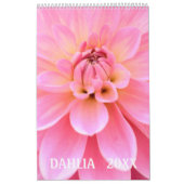 12 maanden prachtige Dahlia-fotokalender Kalender (Hoes)
