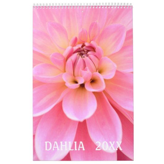 12 maanden prachtige Dahlia-fotokalender Kalender (Hoes)
