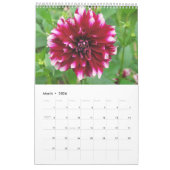 12 maanden prachtige Dahlia-fotokalender Kalender (Mar 2026)