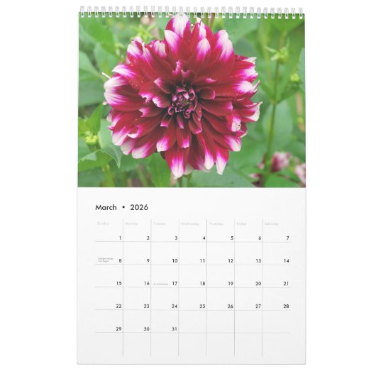 12 maanden prachtige Dahlia-fotokalender Kalender (Mar 2026)